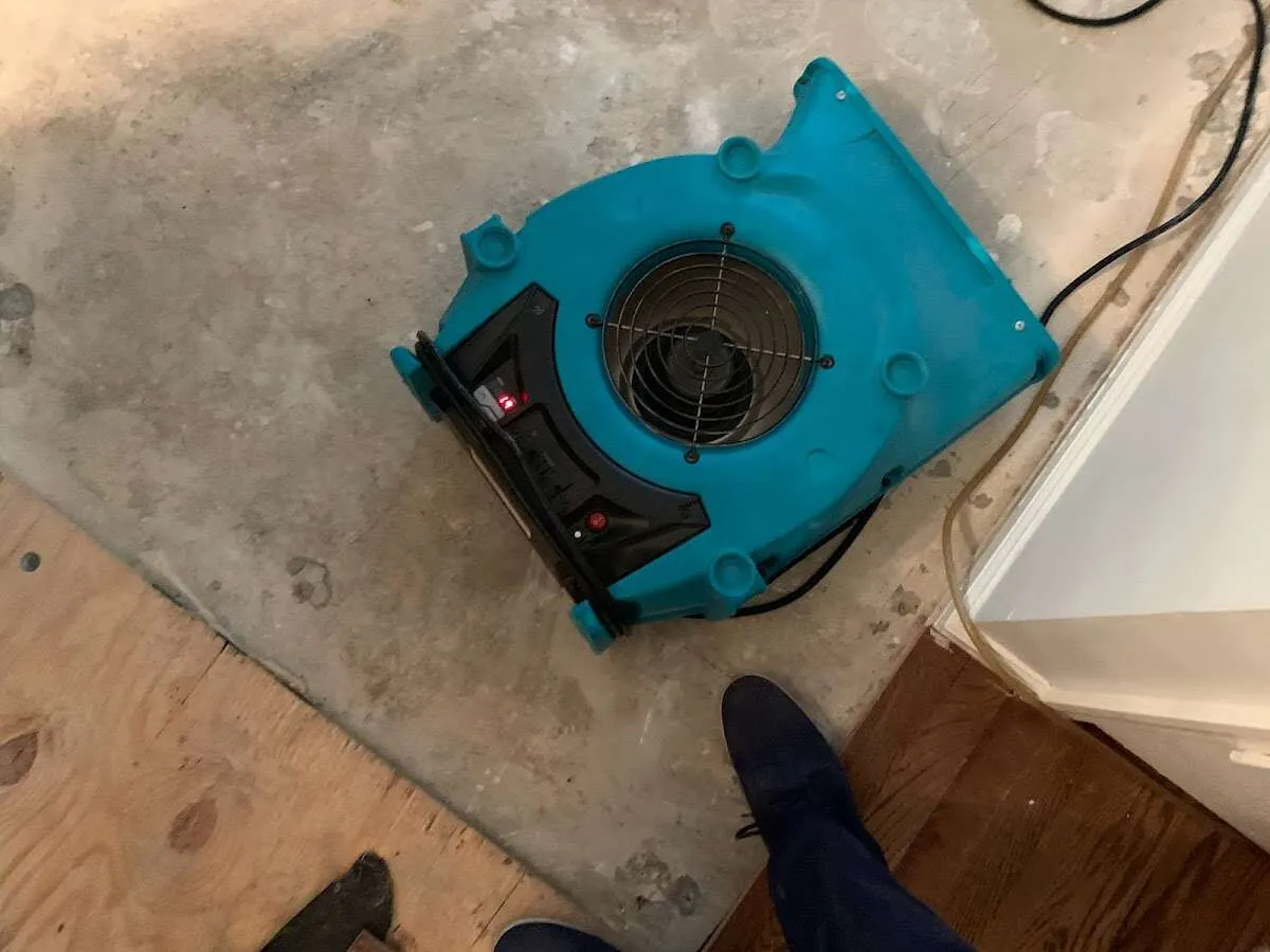 Air mover drying subfloor during Leak Detection & Repair in Alma